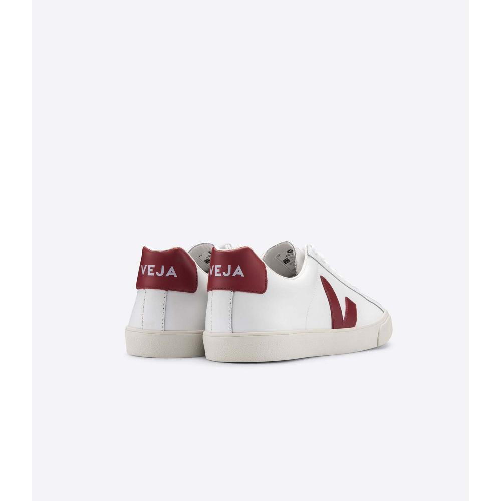 Women's Veja ESPLAR LEATHER Sneakers White/Red | SG 620JPQ